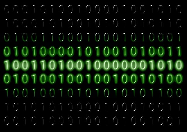 Cara Memilih Pengembang Website dan Aplikasi yang Tepat untuk Bisnis Anda